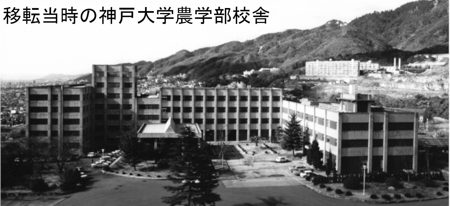 昭和40年代の神戸大学農学
